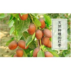 新疆 喀什 疆果果 果真混的好600g/箱    每日堅果