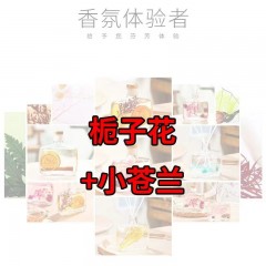 香薰家用室內臥室?guī)諝夥块g除臭衛(wèi)生間熏香持久香水香氛清新劑