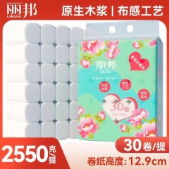 麗邦衛(wèi)生紙批發(fā)家用卷紙巾木漿廁紙婦嬰紙手紙無(wú)芯卷筒紙大卷紙